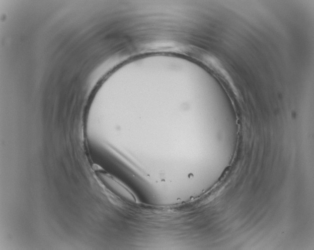 X0000065251328200603131118