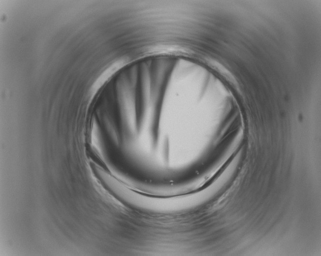 X0000065251330200603131118