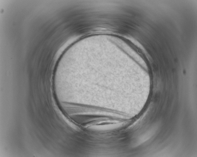 X0000065251333200603131118