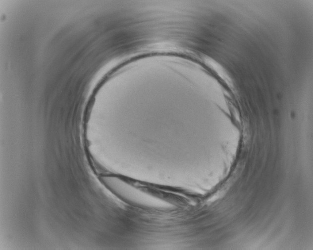 X0000065251334200603131118