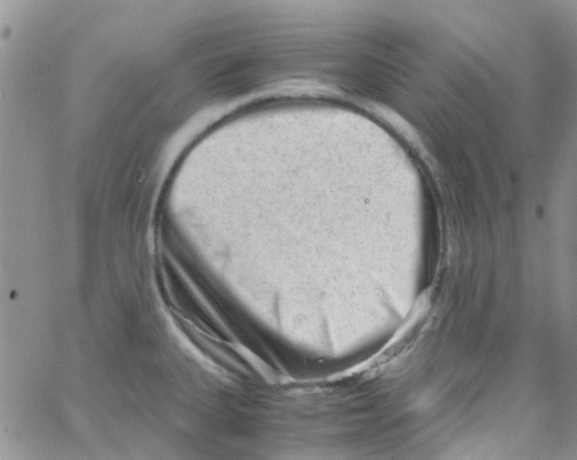 X0000065251335200603131118