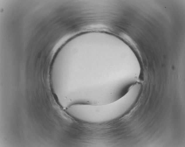 X0000065251336200603131118