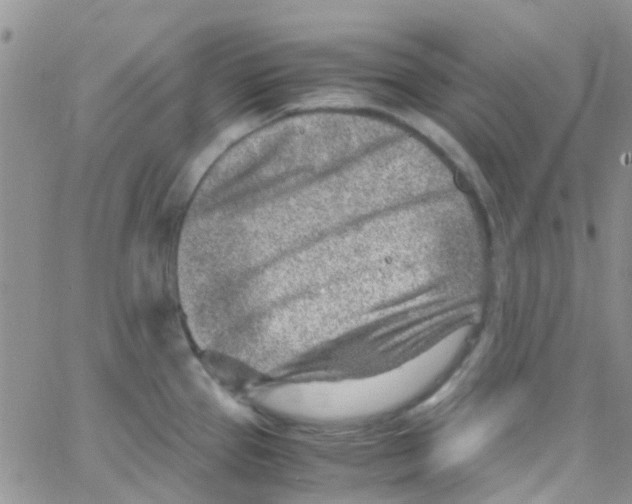 X0000065251337200603131118