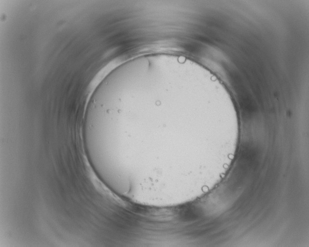 X0000065251338200603131118