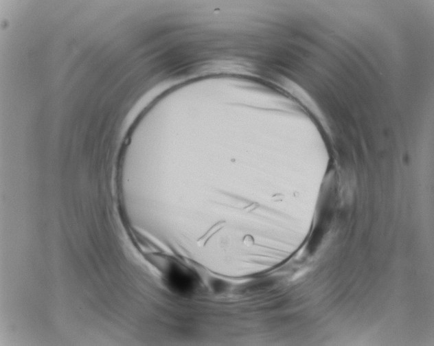 X0000065251339200603131118