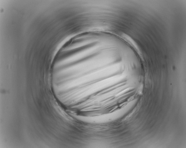 X0000065251340200603131118