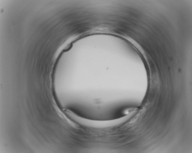 X0000065251341200603131118