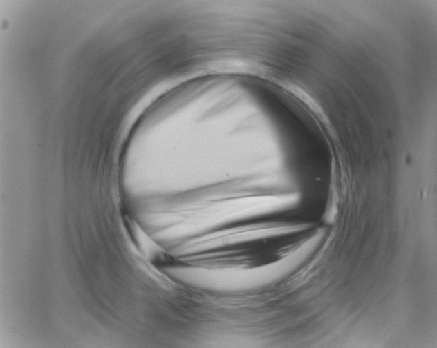 X0000065251342200603131118