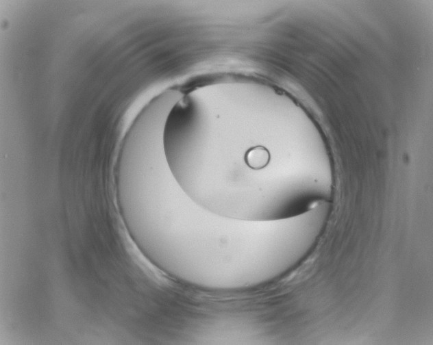 X0000065251344200603131118