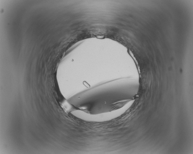 X0000065251345200603131118