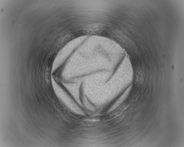 X0000065251346200603131118