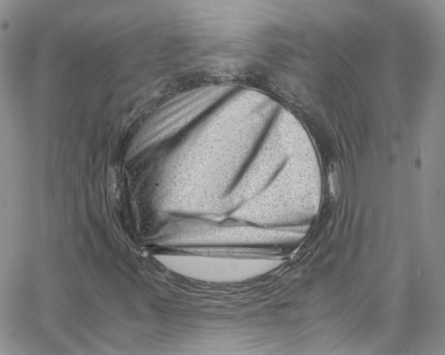 X0000065251347200603131117