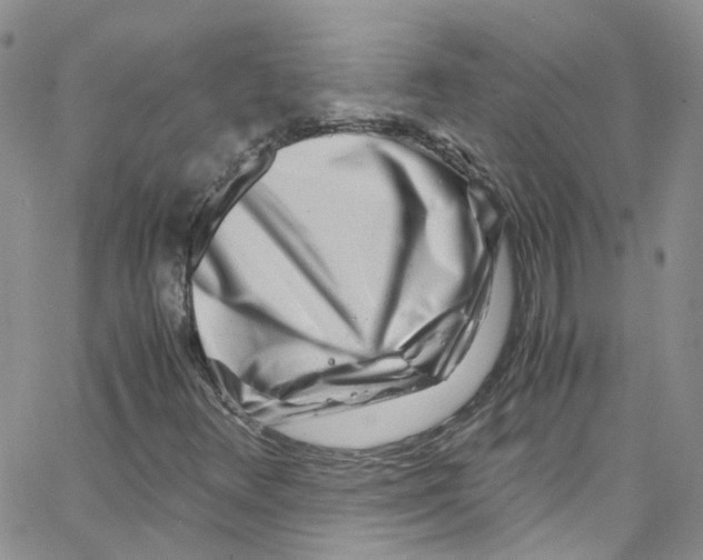 X0000065251348200603131117