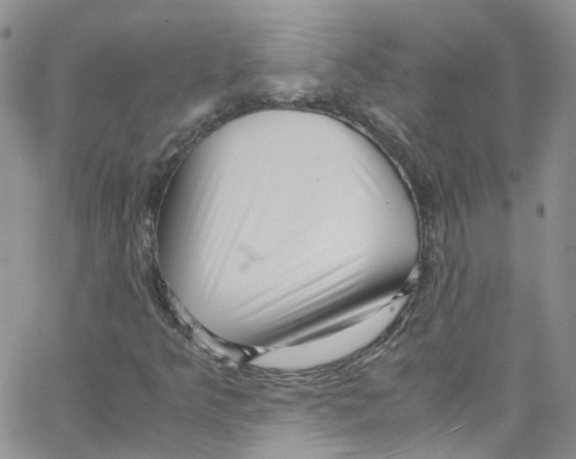 X0000065251349200603131117