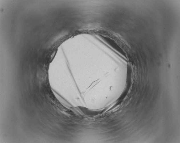 X0000065251350200603131117