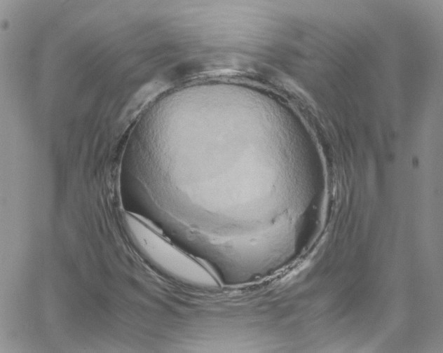 X0000065251353200603131117