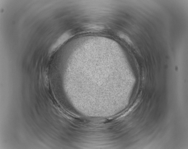 X0000065251354200603131117