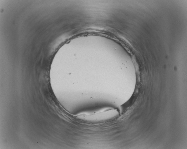 X0000065251355200603131117