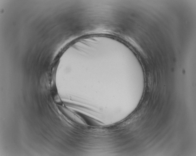 X0000065251356200603131117