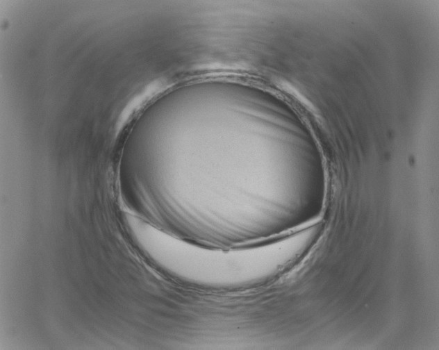 X0000065251357200603131117