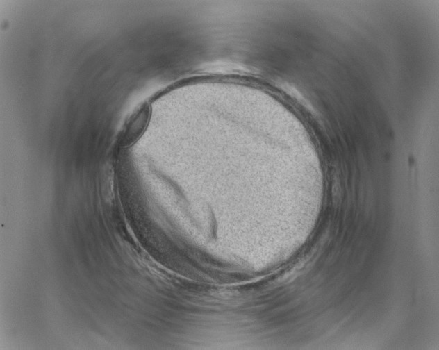 X0000065251358200603131117