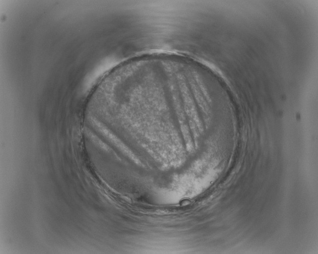 X0000065251359200603131117