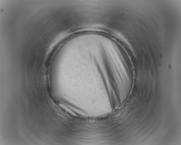 X0000065251360200603131117