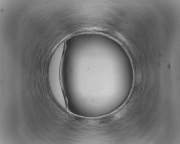 X0000065251361200603131117