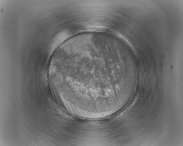 X0000065251362200603131117