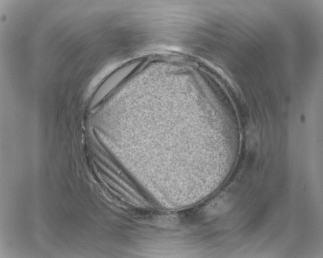 X0000065251363200603131117