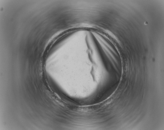 X0000065251364200603131117