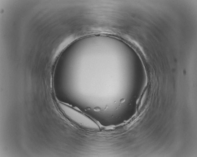 X0000065251365200603131117