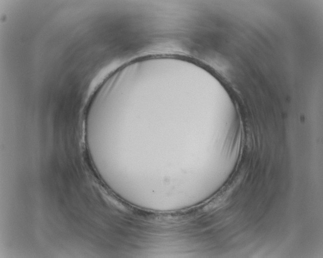 X0000065251366200603131117