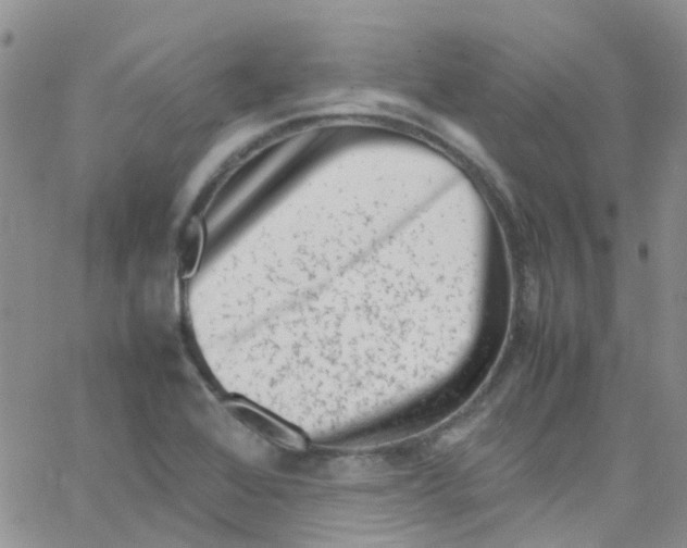 X0000065251368200603131117