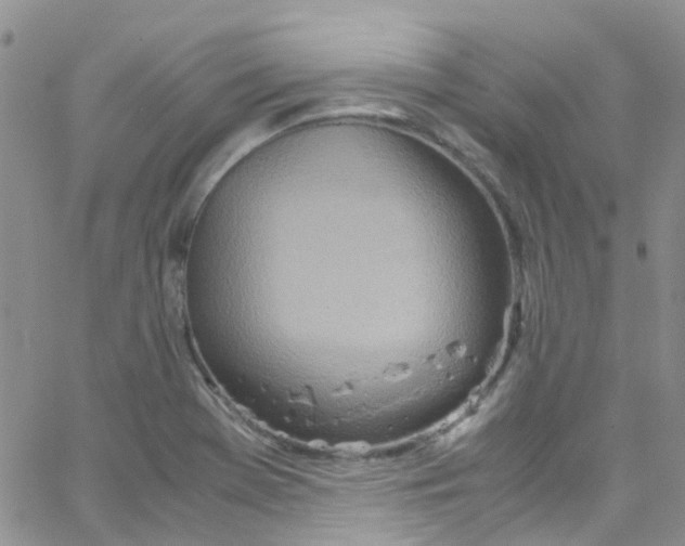 X0000065251369200603131117