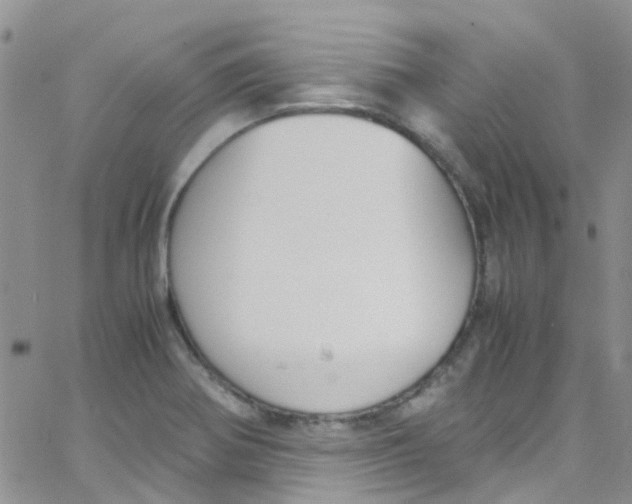 X0000065251370200603131117