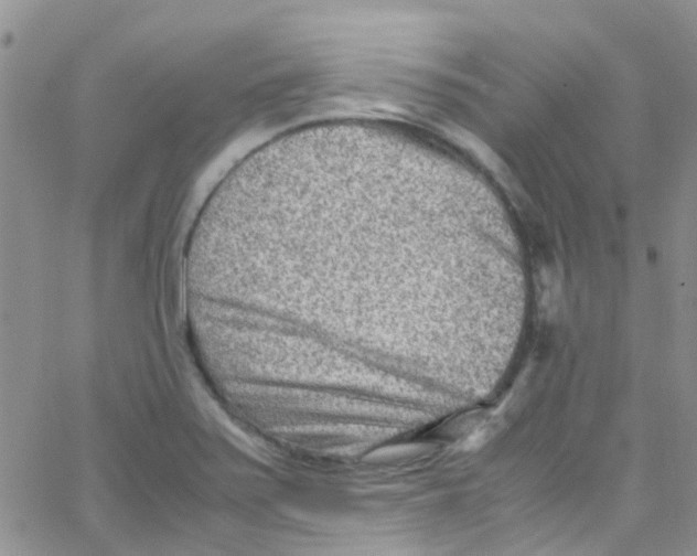 X0000065251371200603131117