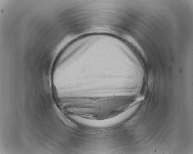 X0000065251372200603131117