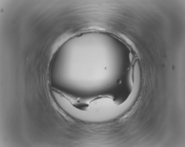 X0000065251373200603131117