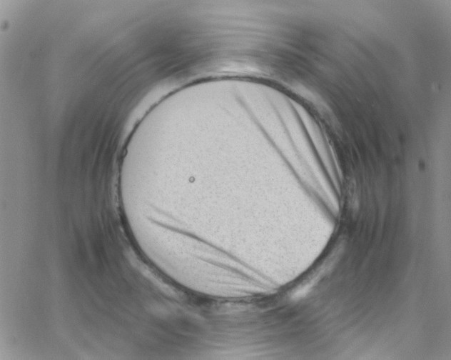 X0000065251374200603131117