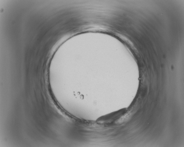 X0000065251375200603131117