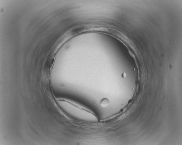 X0000065251377200603131117