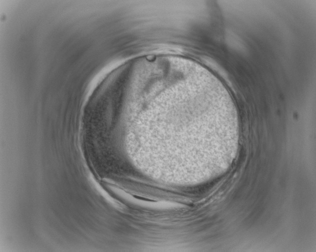 X0000065251379200603131117