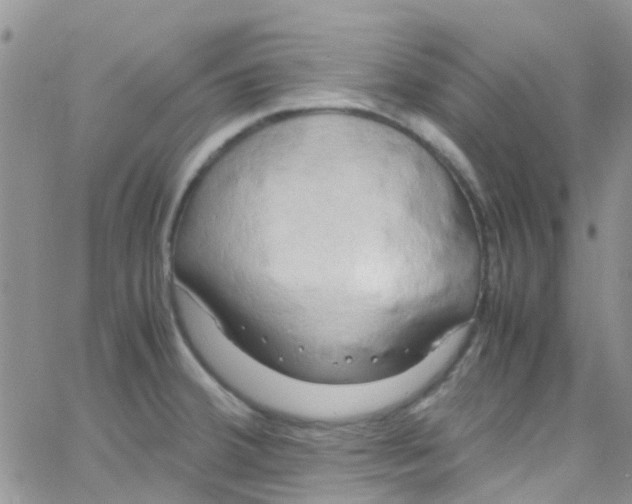 X0000065251380200603131117