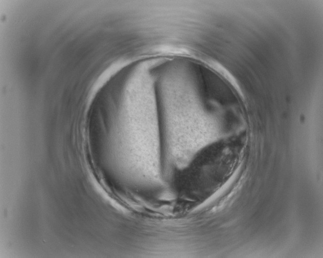 X0000065251381200603131117