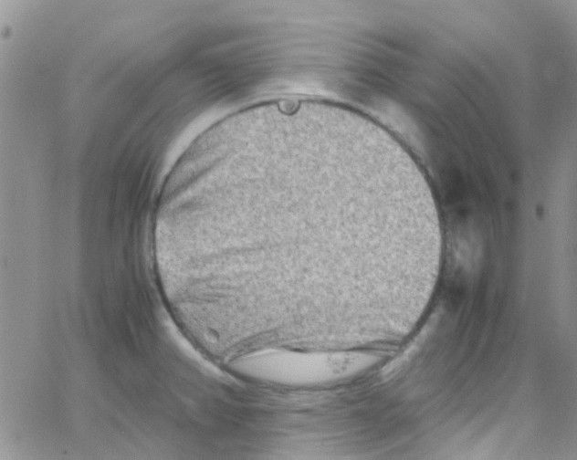 X0000065251382200603131117