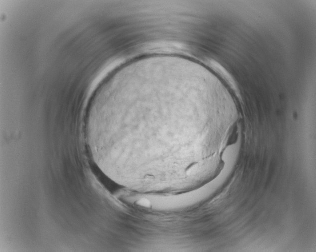 X0000065251384200603131117