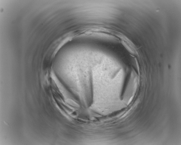 X0000065251385200603131117