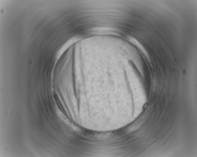 X0000065251386200603131117