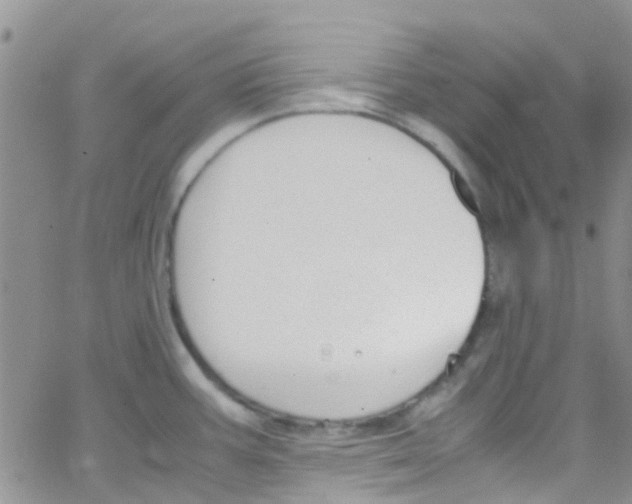 X0000065251387200603131117